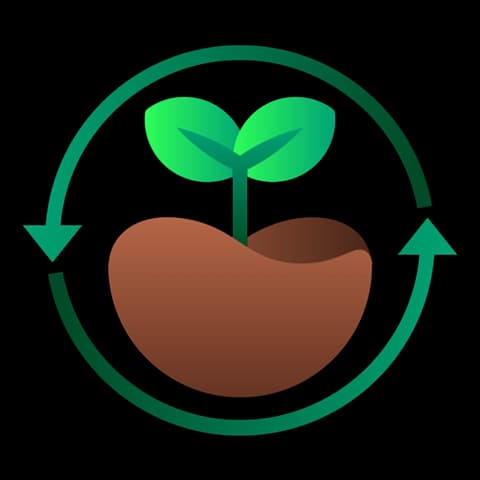 El Centinela Forest Reforestation